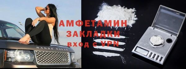 твердый Алзамай