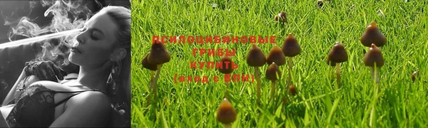 spice Алексеевка