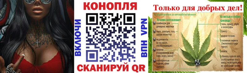 Конопля план  Лермонтов 